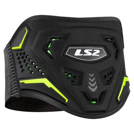 LS2 Kidney Protector