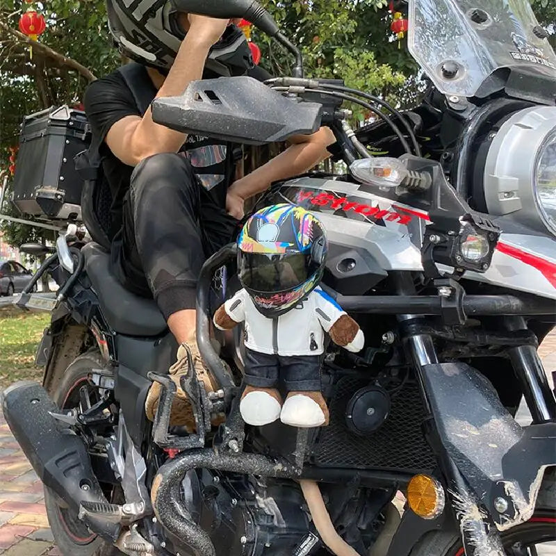 Helmets for Pets