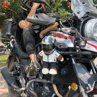 Helmets for Pets
