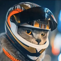Helmets for Pets